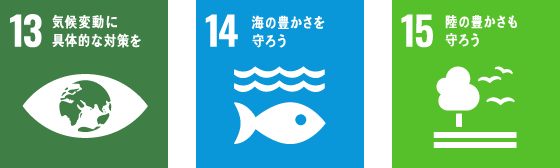 13気候変動に具体的な対策を14海の豊かさを守ろう15陸の豊かさを守ろう