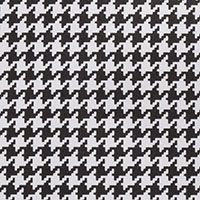 バリエーション画像