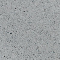 バリエーション画像