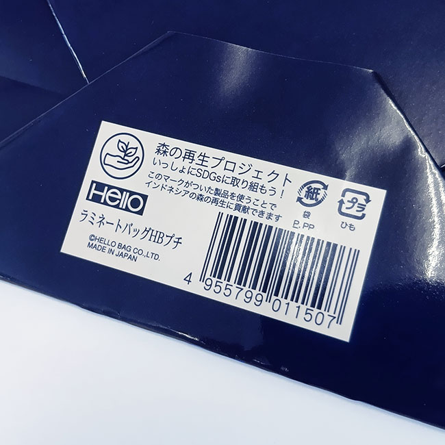 スライド画像