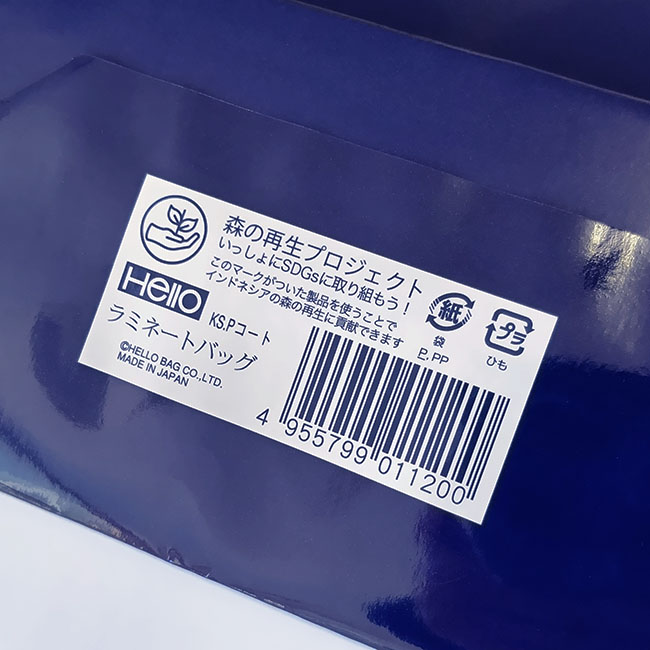 スライド画像