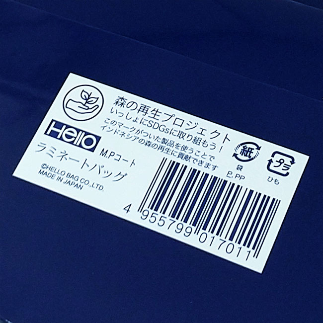 スライド画像