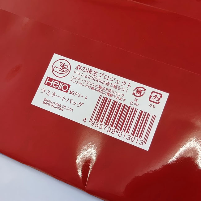 スライド画像