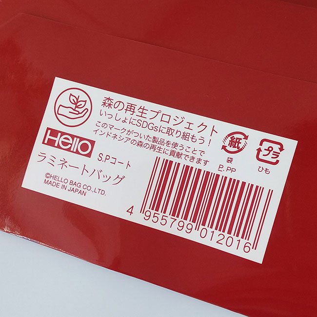 スライド画像